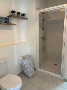 a bathroom with a shower and a toilet at Les Cavaliers in Cabourg