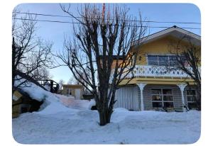 un árbol en la nieve frente a una casa en Peaceful and relaxing place with jacuzzi, en Tromsø