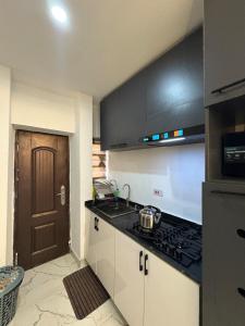 Η κουζίνα ή μικρή κουζίνα στο Luxury 1BR Apartment Free Parking & Fast Wi-Fi