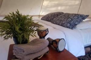 a bed with two plants and a chair on a table at Glamping Bell Tent Escape on Palomar Mountain in Pauma Valley +10 photos