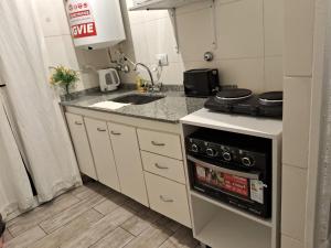 a small kitchen with a sink and a stove at Monoambiente Puerto de Olivos in Olivos