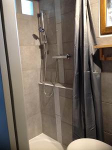 a shower in a bathroom with a shower curtain at La Cahute, gîte étape in La Forêt-Auvray