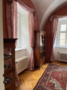 een woonkamer met een groot raam en een tapijt bij Apartmán LACRON Praha in Praag