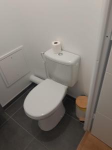 a bathroom with a toilet with a roll of toilet paper on it at Le plein vert in Villeneuve-Saint-Georges