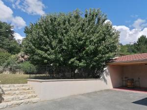 ein großer Baum an der Seite eines Gebäudes in der Unterkunft Maison de 80m2 avec cour fermée et sécurisée in Crozes-Hermitage