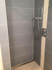 een badkamer met een douche met een douchekop bij Ferienwohnung Würzburg Sanderau in Würzburg