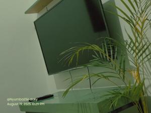 TV a/nebo společenská místnost v ubytování Tropical House Rainforest charm cosy comfort + 7 fotografií