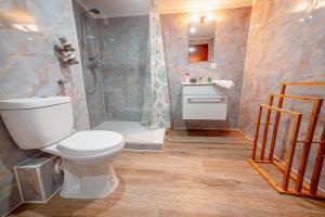 a bathroom with a toilet and a shower and a sink at Charming old building for 2 in Magdeburg