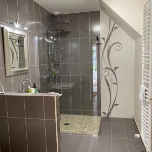 a bathroom with a shower and a sink at La SAURA in Lusigny-sur-Ouche +38 photos