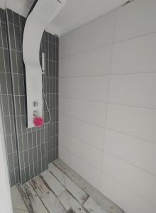 a bathroom with a shower with a mirror at Mon Cabanon Roquemaure in Roquemaure +17 photos
