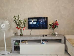 a living room with a tv and a table with flowers at YiJia - Locazione Turistica in Padova
