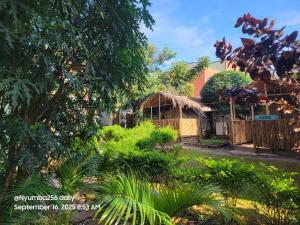 a garden with a thatch hut in the background at Hakuna matata in Gulu
