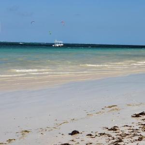 Fotografie z fotogalerie ubytování Cozy Beachside Retreat in Diani Kwale County v destinaci Galu
