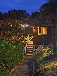 a tiny house in the woods at night at Entre Arboles Cali in Cali