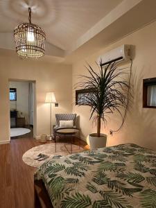 a bedroom with a bed and a potted plant at Dal Dam, a pet-friendly accommodation in the west of Jeju, a private underground bunker event room for family groups in Ŭmbu-dong