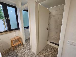 a bathroom with a walk in shower and a mirror at Zimmer 8 in Gomadingen