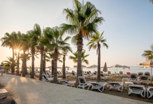 une plage avec des chaises et des palmiers et l'océan dans l'établissement TelMar SeaView, à Oroklini