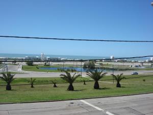 a row of palm trees in a park next to a road at Hotel Adriatico in Mar del Plata