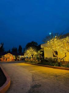 Una casa con luces navideñas en los árboles de una calle. en Villa Sea 12, en Ðong Thon