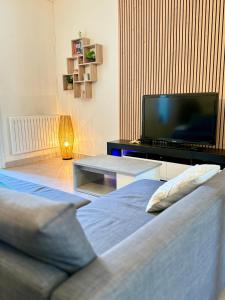 Una sala de estar con dos camas y un televisor de pantalla plana. en Le Continental - Calme et Centre-Ville, en Aix-les-Bains