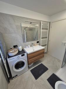 a bathroom with a washing machine and a sink at Casa Celeste Dolomiti in Frassenè +16 photos