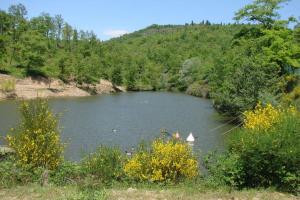 Táj Show holiday homes közelében