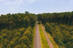 an empty road in the middle of a forest at Villa patio proche plage in Hossegor +5 photos