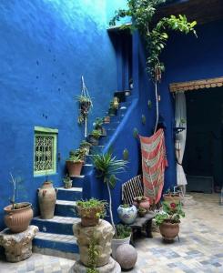 una parete blu con una scala con piante in vaso di Kenza a Sousse