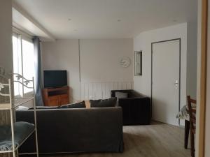 ein Wohnzimmer mit Sofa und Fernseher in der Unterkunft Appartement rez de chaussé 60m2 in Montreuil-sur-Ille