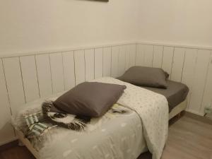 ein Bett mit einer Katze darauf in der Unterkunft Appartement rez de chaussé 60m2 in Montreuil-sur-Ille