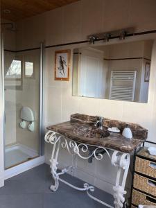 ErbréeにあるMaison de campagneのバスルーム(大理石のシンク、シャワー付) +12枚の写真