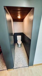 a small bathroom with a toilet in a stall at AlpinRetro-Apartment I Stylisch & zentral I See & Berge I Luzern I Zürich I Stoos I Rigi in Schwyz