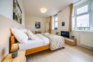 a bedroom with a bed and a television in it at APARTIA Skořepka, Brno-center in Brno