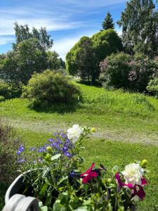 a garden with flowers and trees in a field at Interesting Kemi Apartment with peaceful environment free parking in Kemi