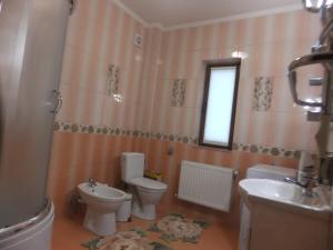 a bathroom with two toilets and a sink at Підгорянка in Yaremche