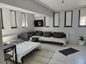 Μια τηλεόραση ή/και κέντρο ψυχαγωγίας στο Jois Apartments Periam