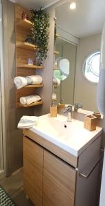 a bathroom with a sink and a mirror at Chez Seb et Sarah - Bungalow Paisible aux Viviers in Lège-Cap-Ferret