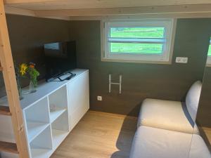 a small room with a couch and a television at Tiny House auf dem Lande in Hilders