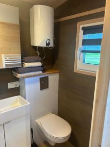 a bathroom with a white toilet and a window at Tiny House auf dem Lande in Hilders