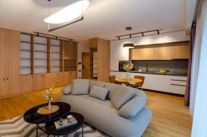 ein Wohnzimmer mit Sofa und eine Küche in der Unterkunft Cuza 16 - Central Premium Apartments in Braşov
