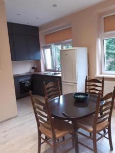 a kitchen with a table and chairs and a refrigerator at Vytauto Apartamentai in Biržai