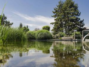 a pool of water with a tree and grass at Novotel Lausanne Bussigny in Lausanne