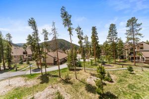 an aerial view of a yard with trees at Quicksilver 1645 by Summit County Mountain Retreats in Keystone