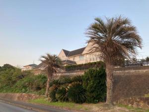 two palm trees in front of a house at sunset hills - Vacation STAY 65095v in Hamada +10 photos