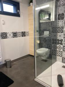 un bagno con wc e doccia in vetro di Au carrefour de la Bretagne a La Motte Altre 11 foto