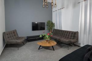 ティベリアにあるRoyal Suites Tiberiasのソファ2つとテレビのあるリビングルーム