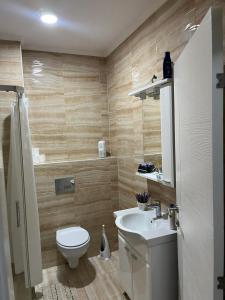 a bathroom with a toilet and a sink at Elly in Modriča