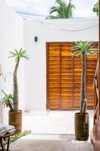 zwei Palmen in Töpfen vor einer Tür in der Unterkunft Ocean View House with 3 levels Terrace and Pool 5 min to Beach Bacocho Coral and Carrizalillo in Puerto Escondido + 18 Fotos