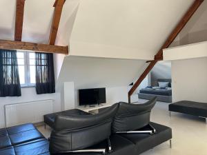 a living room with a leather couch and a tv at Apartmenthouse Singen in Singen