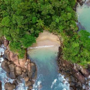 an aerial view of a beach with trees and water at Pousada Ilhas de Ubatuba in Ubatuba